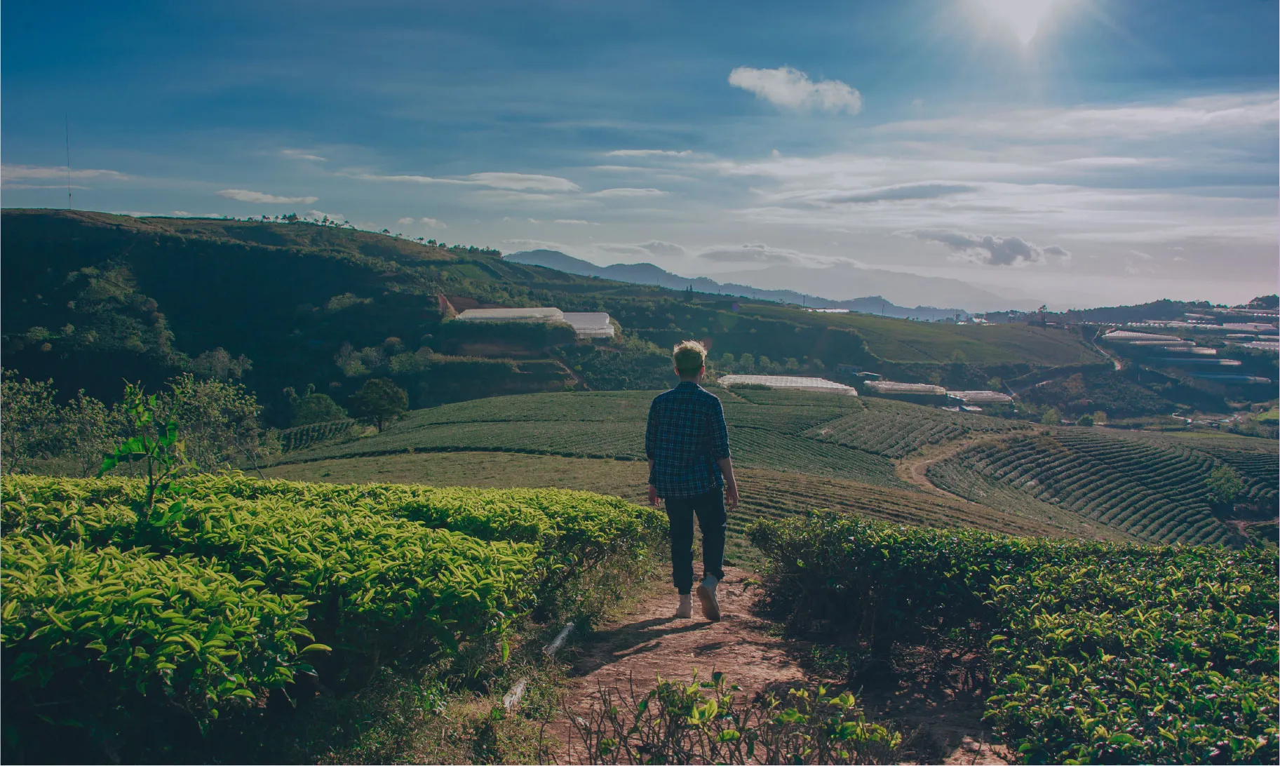 Paisagem agrícola acompanhada pelo TOSCAN